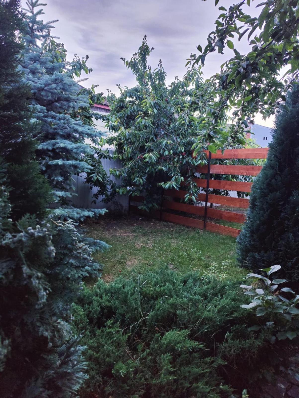 Luxus Cluj Airport Apartments Luaran gambar